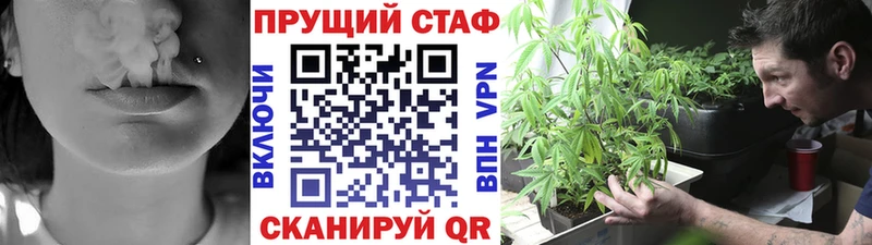 МЕФ Рославль