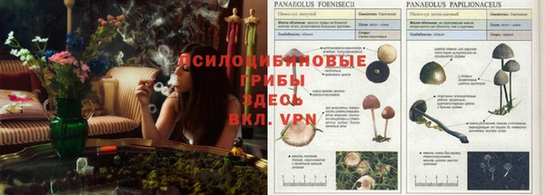 каннабис Абинск