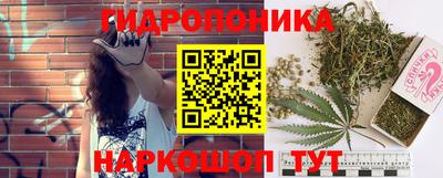 эйфоретик Ставрополь