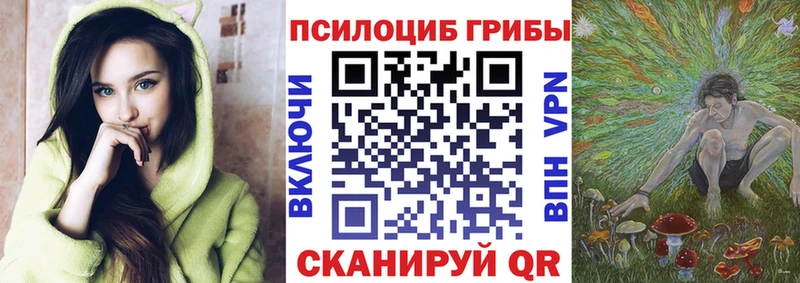 Псилоцибиновые грибы Psilocybe  Рославль 